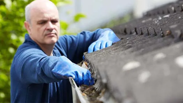 3 Ways Trees Can Damage a Roof